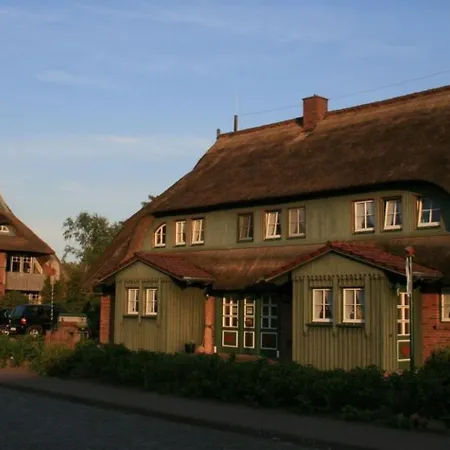 Nr 08 Eg Og *